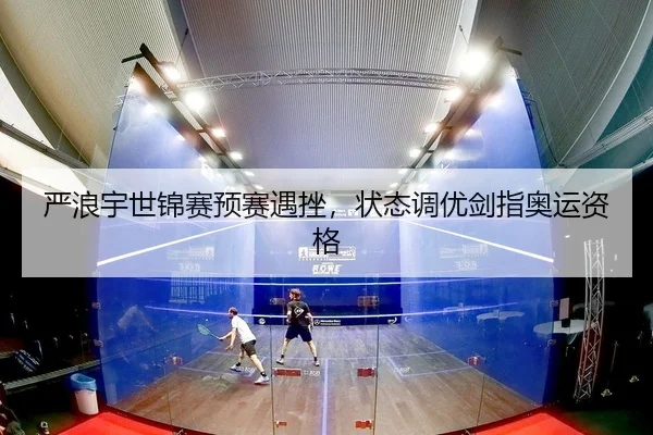 yan-lang-yu-shi-jin-sai-yu-sai-yu-cuo-zhuang-tai-diao-you-jian-zhi-ao-yun-zi-ge-2-230.jpg